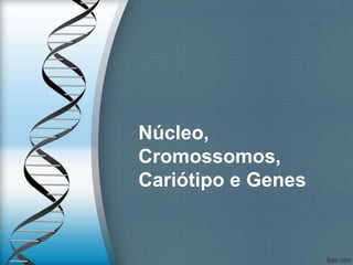Núcleo,
Cromossomos,
Cariótipo e Genes
 