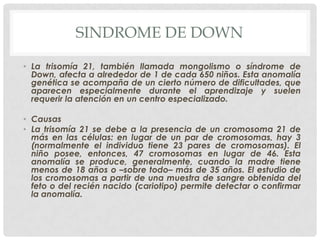 SINDROME DE DOWN
• La trisomía 21, también llamada mongolismo o síndrome de
Down, afecta a alrededor de 1 de cada 650 niños. Esta anomalía
genética se acompaña de un cierto número de dificultades, que
aparecen especialmente durante el aprendizaje y suelen
requerir la atención en un centro especializado.
• Causas
• La trisomía 21 se debe a la presencia de un cromosoma 21 de
más en las células: en lugar de un par de cromosomas, hay 3
(normalmente el individuo tiene 23 pares de cromosomas). El
niño posee, entonces, 47 cromosomas en lugar de 46. Esta
anomalía se produce, generalmente, cuando la madre tiene
menos de 18 años o –sobre todo– más de 35 años. El estudio de
los cromosomas a partir de una muestra de sangre obtenida del
feto o del recién nacido (cariotipo) permite detectar o confirmar
la anomalía.

 