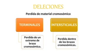DELECIONES
Perdida de material cromosómico
TERMINALES
Perdida de un
extremo de
brazo
cromosómico.
INTERSTICIALES
Perdida dentro
de los brazos
cromosómicos.
 