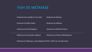 Cariotipo fish-y-sky (2) | PPTX