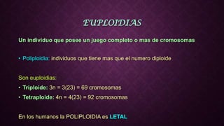 EUPLOIDIAS
Un individuo que posee un juego completo o mas de cromosomas
• Poliploidia: individuos que tiene mas que el numero diploide
Son euploidias:
• Triploide: 3n = 3(23) = 69 cromosomas
• Tetraploide: 4n = 4(23) = 92 cromosomas
En los humanos la POLIPLOIDIA es LETAL
 