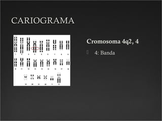 CARIOGRAMACARIOGRAMA
Cromosoma 4q2, 4
 4: Banda
 