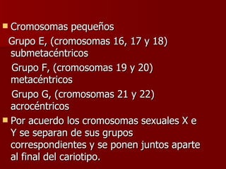  Cromosomas pequeños
 Grupo E, (cromosomas 16, 17 y 18)
  submetacéntricos
  Grupo F, (cromosomas 19 y 20)
  metacéntricos
  Grupo G, (cromosomas 21 y 22)
  acrocéntricos
 Por acuerdo los cromosomas sexuales X e
  Y se separan de sus grupos
  correspondientes y se ponen juntos aparte
  al final del cariotipo.
 