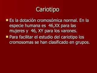 Cariotipo
 Es la dotación cromosómica normal. En la
  especie humana es 46,XX para las
  mujeres y 46, XY para los varones.
 Para facilitar el estudio del cariotipo los
  cromosomas se han clasificado en grupos.
 