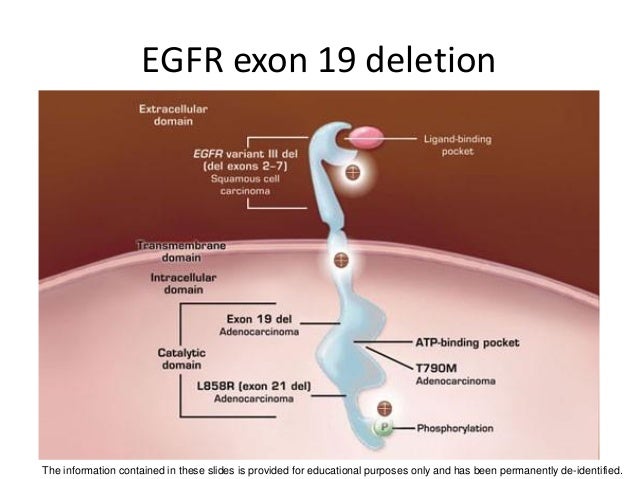 Caris Centers of Excellence Virtual Molecular Tumor Board