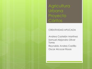 Agricultura
Urbana
Proyecto
Cáritas
CREATIVIDAD APLICADA
Andrea Castelán Martínez
Samuel Alejandro Oliver
Torres
Reynaldo Andres Castillo
Oscar Alcocer Rosas
 