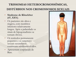 TRISSOMIAS HETEROCROMOSSÔMICAS,
DISTÚRBIOS NOS CROMOSSOMOS SEXUAIS
• Síndrome de Klinefelter
(47, XXY).
• Os pacientes são altos e
magros, com membros
inferiores relativamente
longos. Após a puberdade os
sinais de hipogonadismo se
tornam óbvios.
• Os testículos permanecem
pequenos e os caracteres
sexuais secundários
continuam subdesenvolvidos.
• Apresentam corpúsculo de
Barr.
 