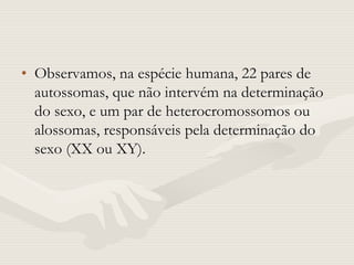 • Observamos, na espécie humana, 22 pares de
autossomas, que não intervém na determinação
do sexo, e um par de heterocromossomos ou
alossomas, responsáveis pela determinação do
sexo (XX ou XY).
 