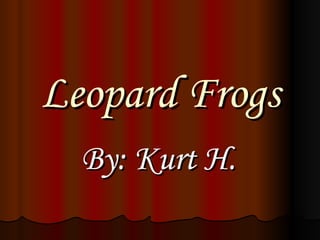 Leopard Frogs By: Kurt H.   