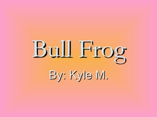 Bull Frog By: Kyle M. 