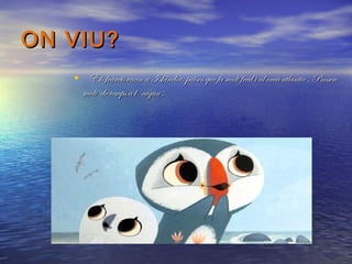 ON VIU?
• Els frarets viuen a Islándia, països que fa molt fred i al oceà atlantic . Passen
molt de temps a l`aigua .

 