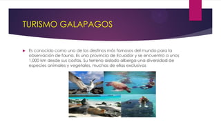 TURISMO GALAPAGOS
 Es conocido como uno de los destinos más famosos del mundo para la
observación de fauna. Es una provincia de Ecuador y se encuentra a unos
1,000 km desde sus costas. Su terreno aislado alberga una diversidad de
especies animales y vegetales, muchas de ellas exclusivas
 