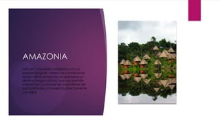 AMAZONIA
Más de 13 pueblos indígenas con sus
propias lenguas, creencias y tradiciones
hacen de la Amazonía ecuatoriana un
destino mega-cultural, que nos permite
interactuar y conocer las costumbres de
sus habitantes conviviendo directamente
con ellos..
 