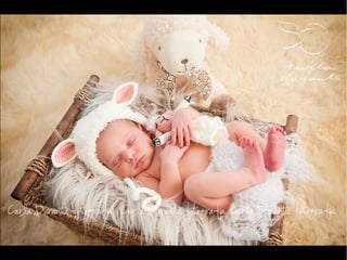 Carla Durante - Fotógrafa