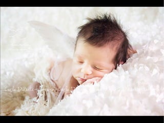 Carla Durante - Fotógrafa