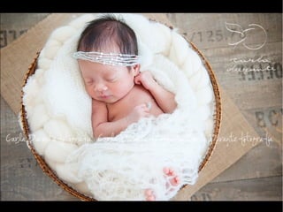 Carla Durante - Fotógrafa