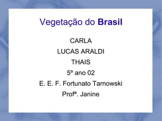 Vegetação do Brasil
CARLA
LUCAS ARALDI
THAIS
5º ano 02
E. E. F. Fortunato Tarnowski
Profª. Janine
 