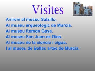 Anirem al museu Salzillo. Al museu arqueologic de Murcia. Al museu Ramon Gaya. Al museu San Juan de Dios. Al museu de la ciencia i aigua. I al museu de Bellas artes de Murcia. Visites 