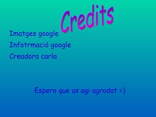 Imatges google Infotrmació google Creadora carla Espero que us agi agradat =) Credits 