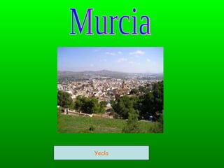 Murcia Yecla 