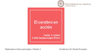 El cerebro en
acción
Luria, A. (1984)
Carla Susana López Pérez
Diplomado en Neuropsicología - Módulo 1 Académico: Dr. Daniel Granados
 