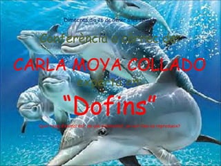 Dimecres  dia 26 de Gener a les 12’30 h Conferència a càrrec de: CARLA MOYA COLLADO experta en: “ Dofins” Quin tipus d’animal és?, de què s’alimenta?, on viu? Com es reprodueix? 