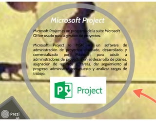 MS Project