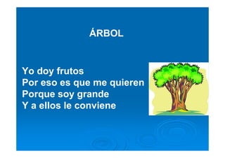 ÁRBOL


Yo doy frutos
Por eso es que me quieren
Porque soy grande
Y a ellos le conviene
 