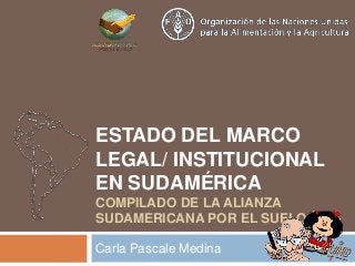 ESTADO DEL MARCO
LEGAL/ INSTITUCIONAL
EN SUDAMÉRICA
COMPILADO DE LA ALIANZA
SUDAMERICANA POR EL SUELO
Carla Pascale Medina
 