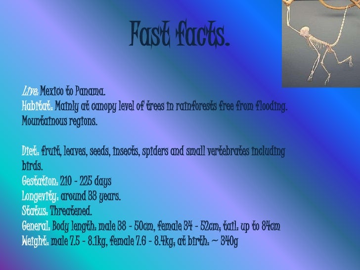 Interesting Facts About Droughts For Kids Interesting Facts About Droughts For Kids