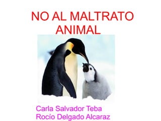 NO AL MALTRATO
ANIMAL
Carla Salvador Teba
Rocío Delgado Alcaraz
 