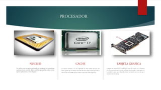 PROCESADOR
NUCLEO
Un núcleo no es más que un procesador en miniatura. Los procesadores
modernos tienen varios de ellos lo cual hace que puedan acelerar ciertos
tipos de aplicaciones y evitar bloqueos.
CACHE
La cache se encuentra, a su vez, organizada en varios niveles cada uno más
lento y grande que el anterior. Será tarea del micro dejar los datos que más se
usen lo más cerca posible para así acelerar la ejecución de los programas.
TARJETA GRÁFICA
Si integran este componente ya no hablamos de CPUs sino de APUs. Ya no estaríamos
ante un micro convencional si no ante un hibrido entre procesador y tarjeta gráfica. En
la actualidad y parece que en desarrollos futuros casi todos los micros con los que te
encuentres serán de este tipo.
 