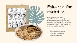 Grade 10-Science Evolution Comparative Anatomy | PPTX