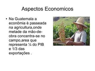 Aspectos Economicos
● Na Guatemala a
econômia è passeada
na agricultura,onde
metade da mão-de-
obra concentra-se no
campo,area que
representa ¼ do PIB
e 1/3 das
exportações .