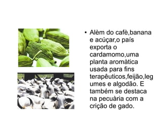 ● Alèm do cafè,banana
e acúçar,o país
exporta o
cardamomo,uma
planta aromàtica
usada para fins
terapêuticos,feijão,leg
umes e algodão. E
também se destaca
na pecuària com a
crição de gado.