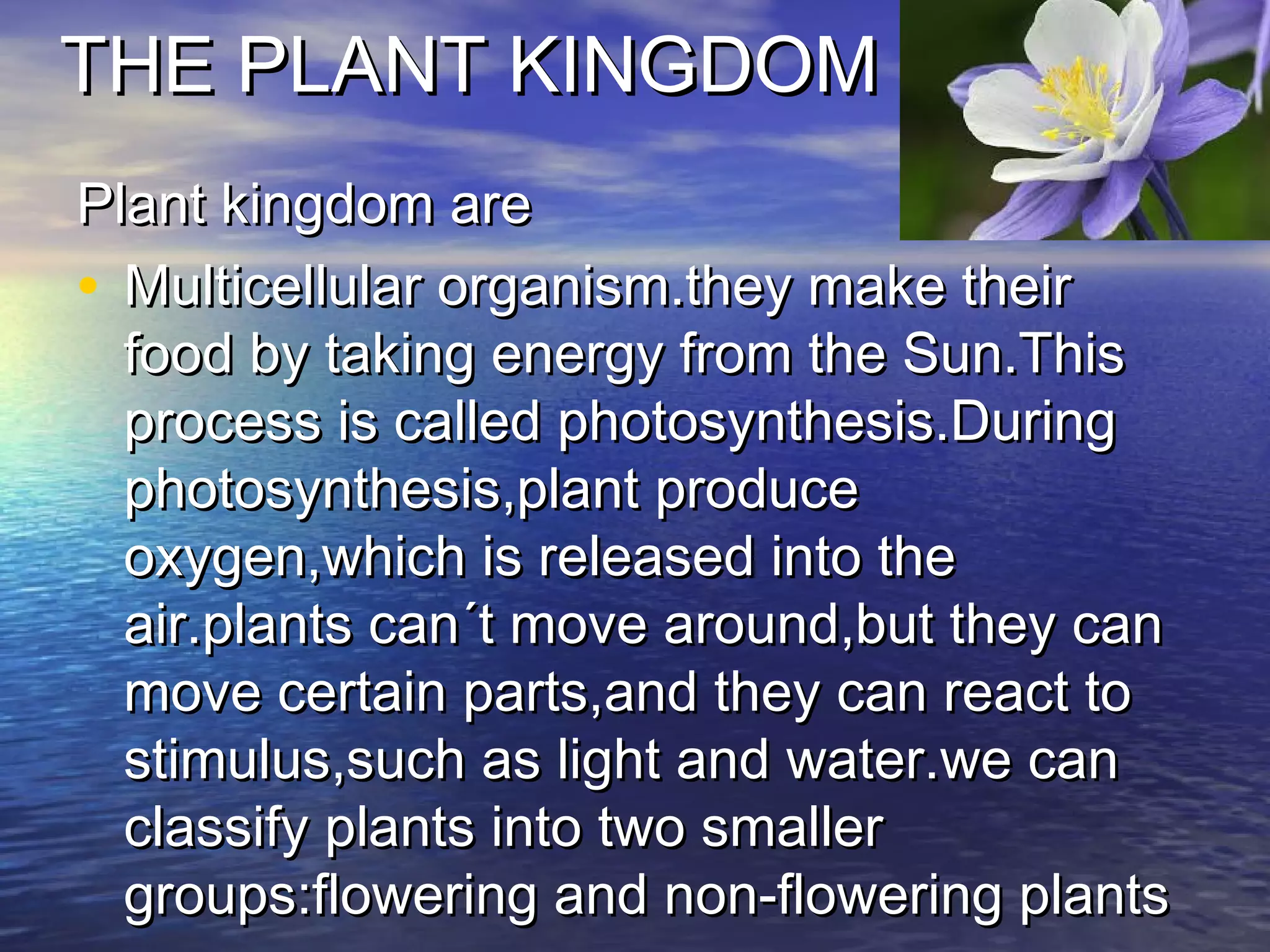 THE PLANT KINGDOMTHE PLANT KINGDOM
Plant kingdom arePlant kingdom are
• Multicellular organism.they make theirMulticellular organism.they make their
food by taking energy from the Sun.Thisfood by taking energy from the Sun.This
process is called photosynthesis.Duringprocess is called photosynthesis.During
photosynthesis,plant producephotosynthesis,plant produce
oxygen,which is released into theoxygen,which is released into the
air.plants can´t move around,but they canair.plants can´t move around,but they can
move certain parts,and they can react tomove certain parts,and they can react to
stimulus,such as light and water.we canstimulus,such as light and water.we can
classify plants into two smallerclassify plants into two smaller
groups:flowering and non-flowering plantsgroups:flowering and non-flowering plants
 