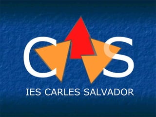 C S IES CARLES SALVADOR 