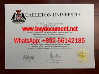 Carleton University diploma