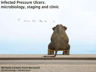 Infected Pressure Ulcers:
microbiology, staging and clinic
Michaela Carletti, Paola Bernaschi
UOS Microbiology – “Bambino Gesù”
 