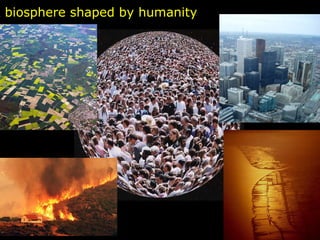 A biosphere shaped by humanity 