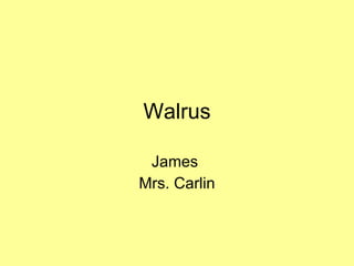 Walrus James  Mrs. Carlin 