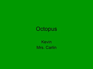 Octopus Kevin Mrs. Carlin 