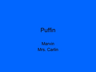 Puffin Marvin Mrs. Carlin 