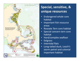 Special, sensitive, & 
unique resources
• Endangered whale core 
  habitat
• Important fish resource 
  areas
• Roseate Tern core habitat
• Special concern tern core 
  habitat
• Hard/complex seafloor
• Eelgrass
• Intertidal flats
• Long‐tailed duck, Leach’s 
  storm petrel and colonial 
  important habitat
 