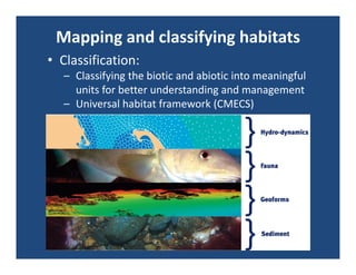 Mapping and classifying habitats
• Classification:
  – Classifying the biotic and abiotic into meaningful 
    units for better understanding and management
  – Universal habitat framework (CMECS)
 