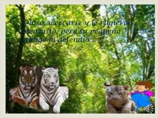 
Quiso acercarse y le rugieron ,
se asusto, pero su pequeño
amigo lo defendió…
 