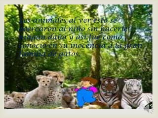 
Los animales al ver esto se
acercaron al niño sin hacerle
ningún daño y así fue como
conoció en su inocencia a la gran
familia de gatos.
 