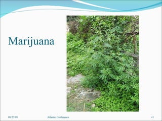 Marijuana 09/27/09 Atlantic Conference 