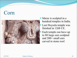 Corn Maize is sculpted in a hundred temples in India.  Last Hoysala temple was finished in 1268 CE. Each temple can have up to 80 large ears sculpted and 200+ small ears carved in stone roof.  09/27/09 Atlantic Conference 