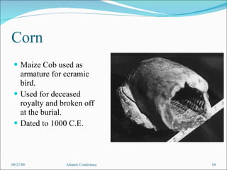 Corn Maize Cob used as armature for ceramic bird. Used for deceased royalty and broken off at the burial. Dated to 1000 C.E. 09/27/09 Atlantic Conference 